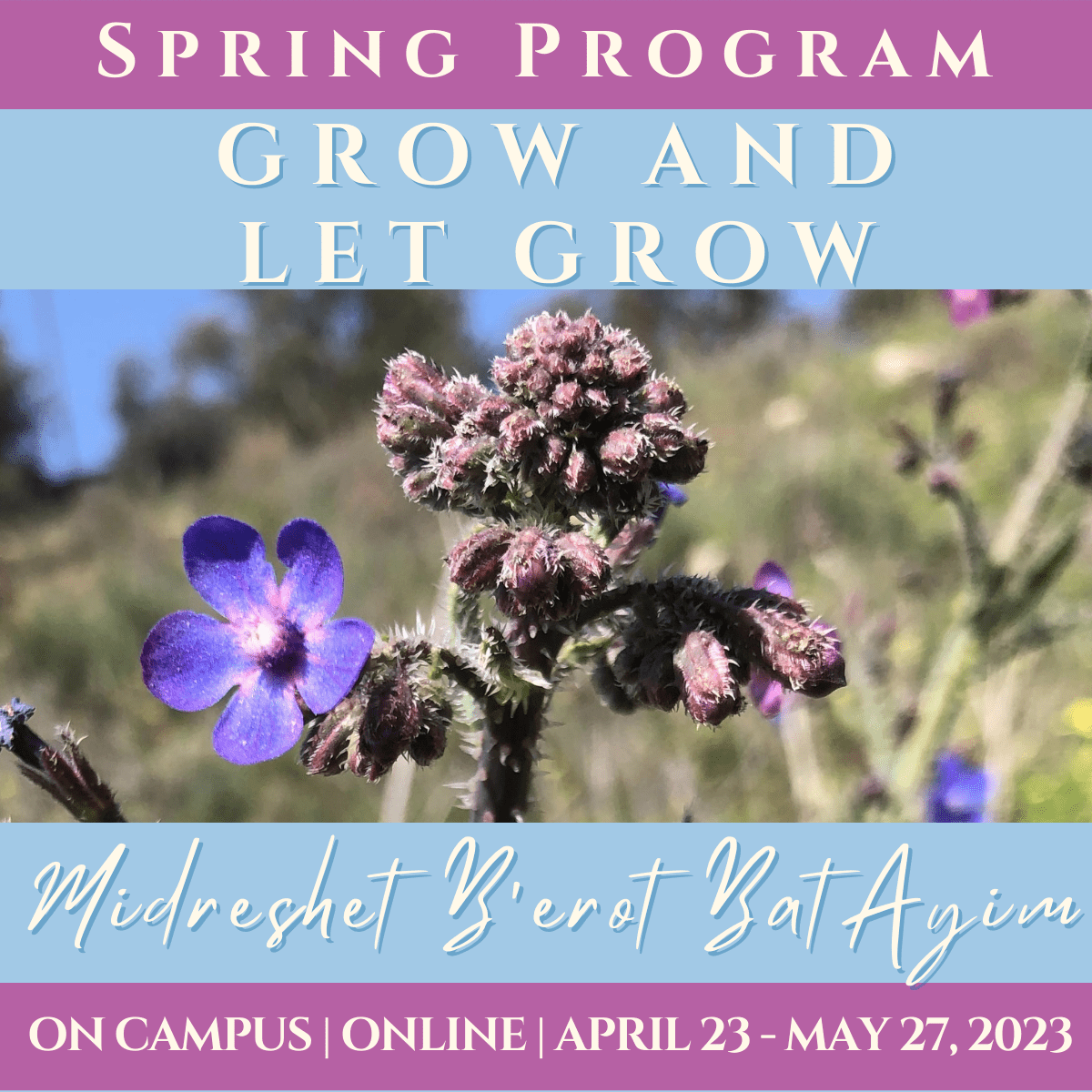 Spring Program 5783 - Midreshet B'erot Bat Ayin