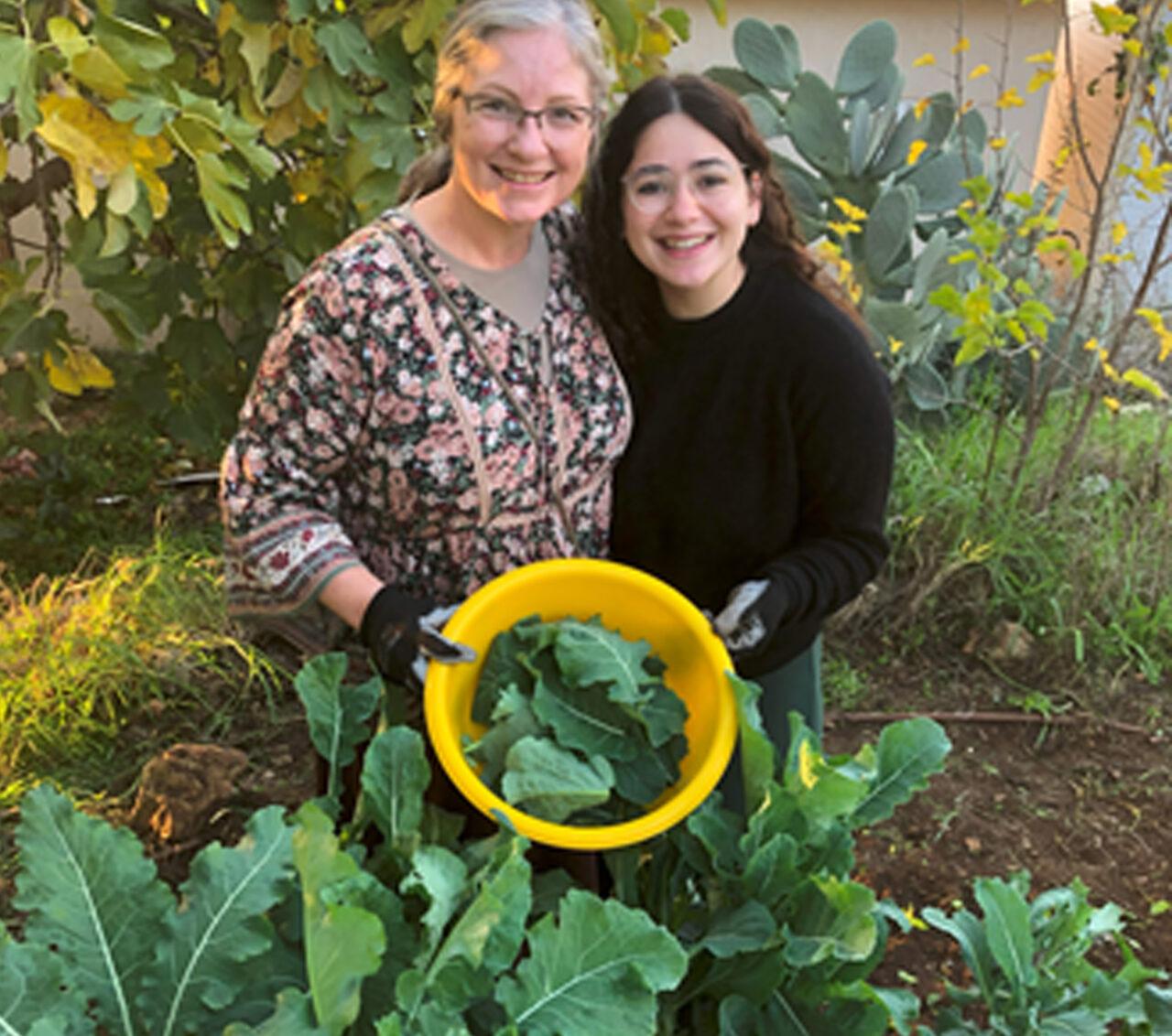 Midreshet Berot: Holistic Jewish Women’s Seminary